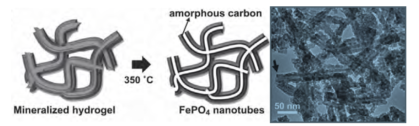 sintesi di materiali nanostrutturati con agenti biologici