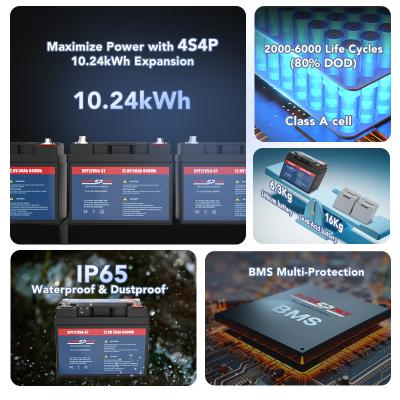 LiFePO4 Deep Cycle Rechargeable Battery For Medical Cart
