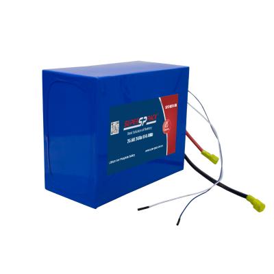Pacchi batteria LiFePO4 24V 20Ah