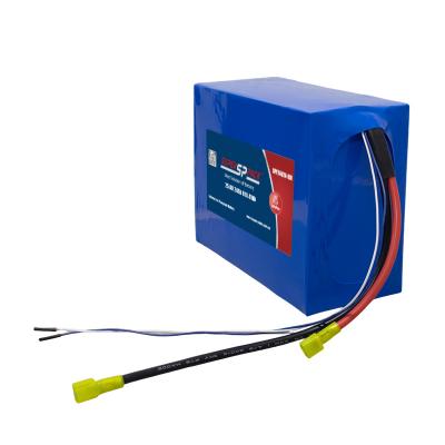 Pacchi batteria LiFePO4 24V 20Ah