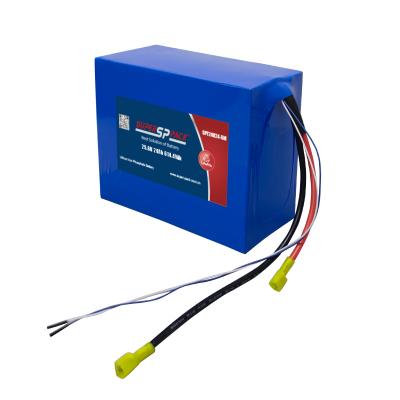 Pacchi batteria LiFePO4 24V 20Ah