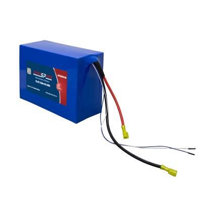 Pacchi batteria LiFePO4 24V 20Ah