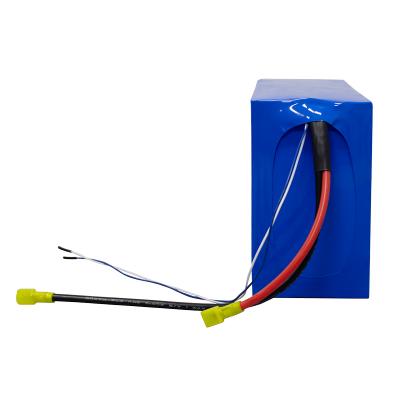 Pacchi batteria LiFePO4 24V 20Ah